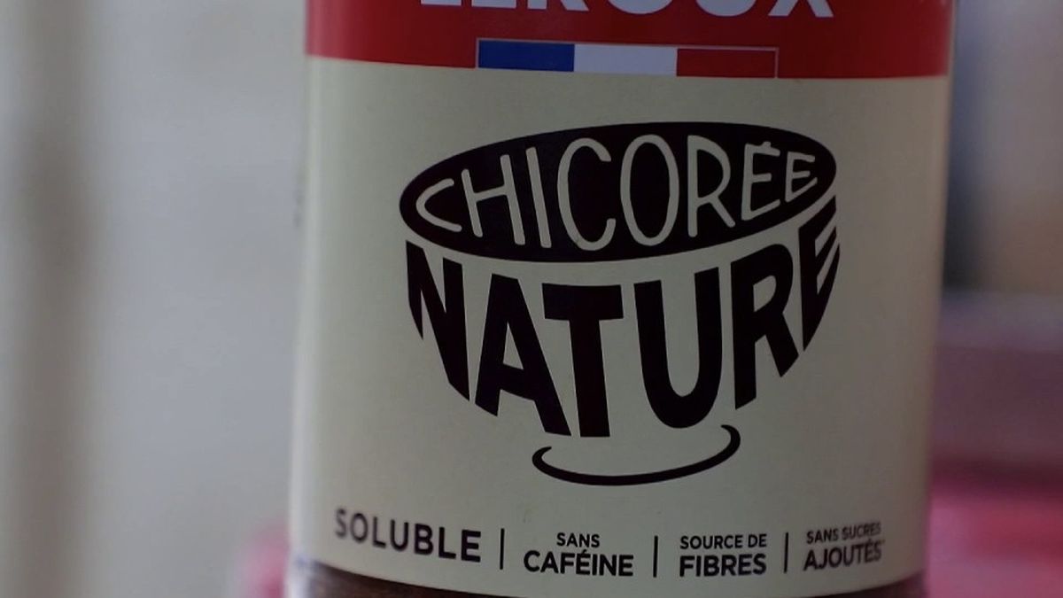 découvrez la chicorée et les ersatz de café, la boisson tendance qui séduit par son goût unique et ses bienfaits naturels. parfaite alternative au café traditionnel.